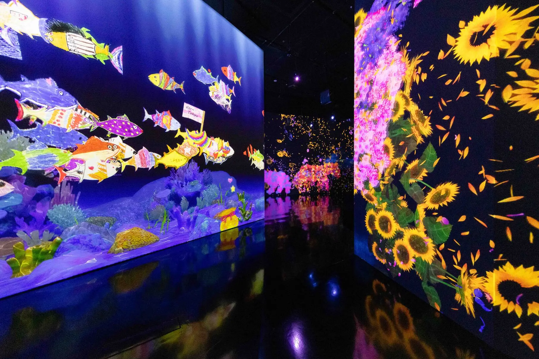 ArtScience Museum at Marina Bay Sands in Singapore - Photo 14