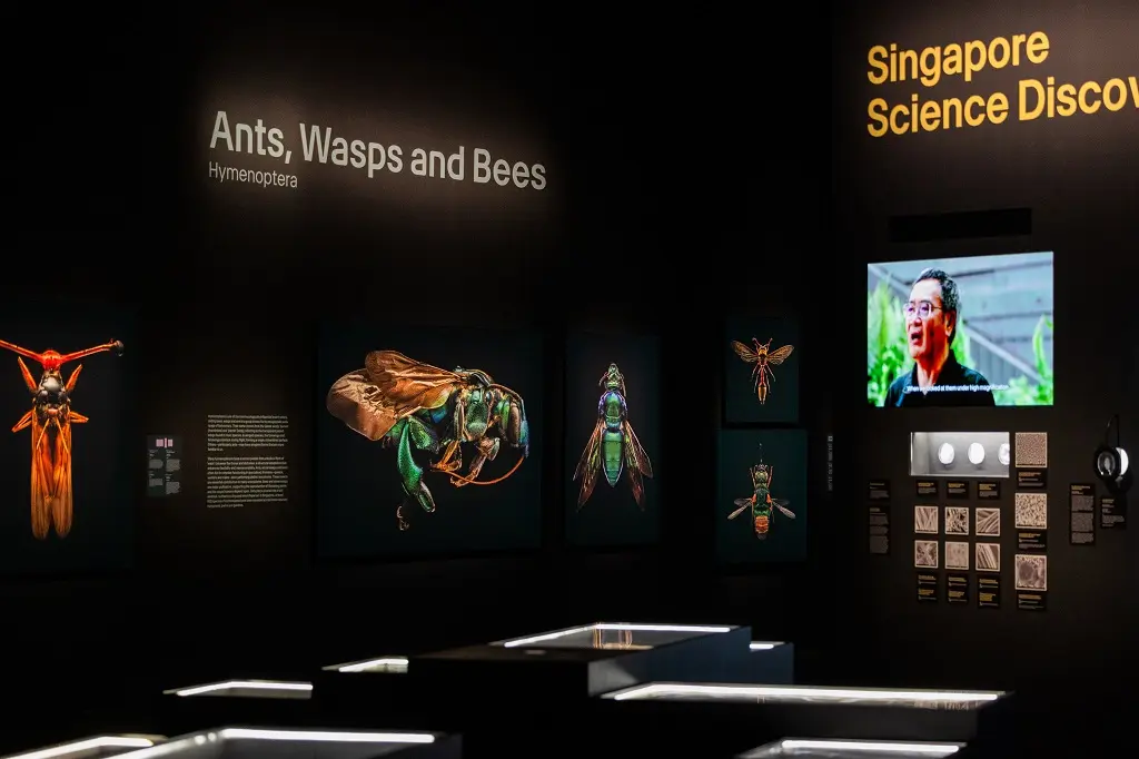 ArtScience Museum at Marina Bay Sands in Singapore - Photo 19