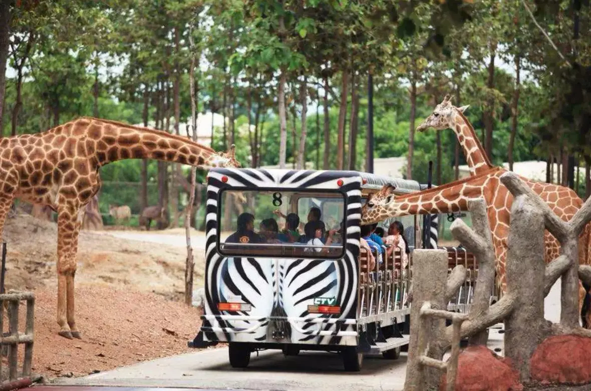 Chiang Mai Night Safari (Thai Residents) in Chiang Mai - Photo 2