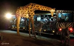Chiang Mai Night Safari (Thai Residents) in Chiang Mai - Photo 4
