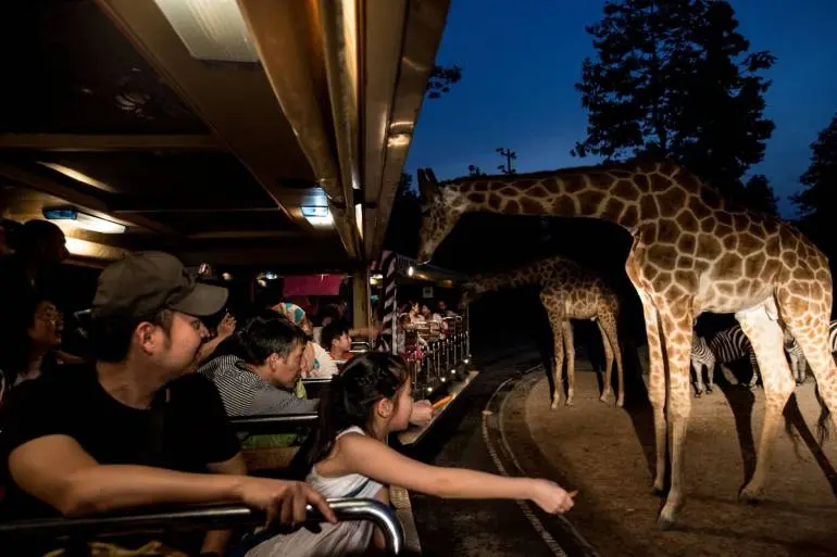 Chiang Mai Night Safari (Thai Residents) in Chiang Mai - Photo 5