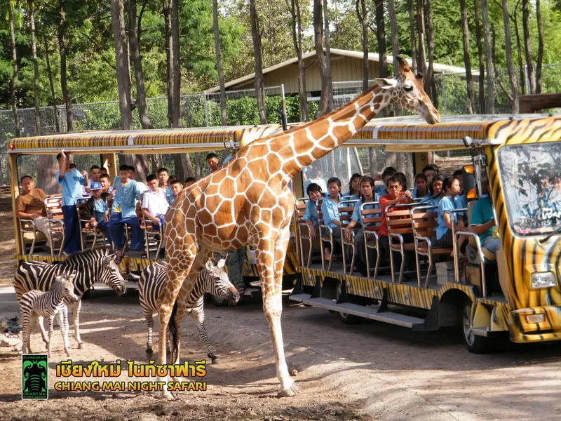 Chiang Mai Night Safari (Thai Residents) in Chiang Mai - Photo 6