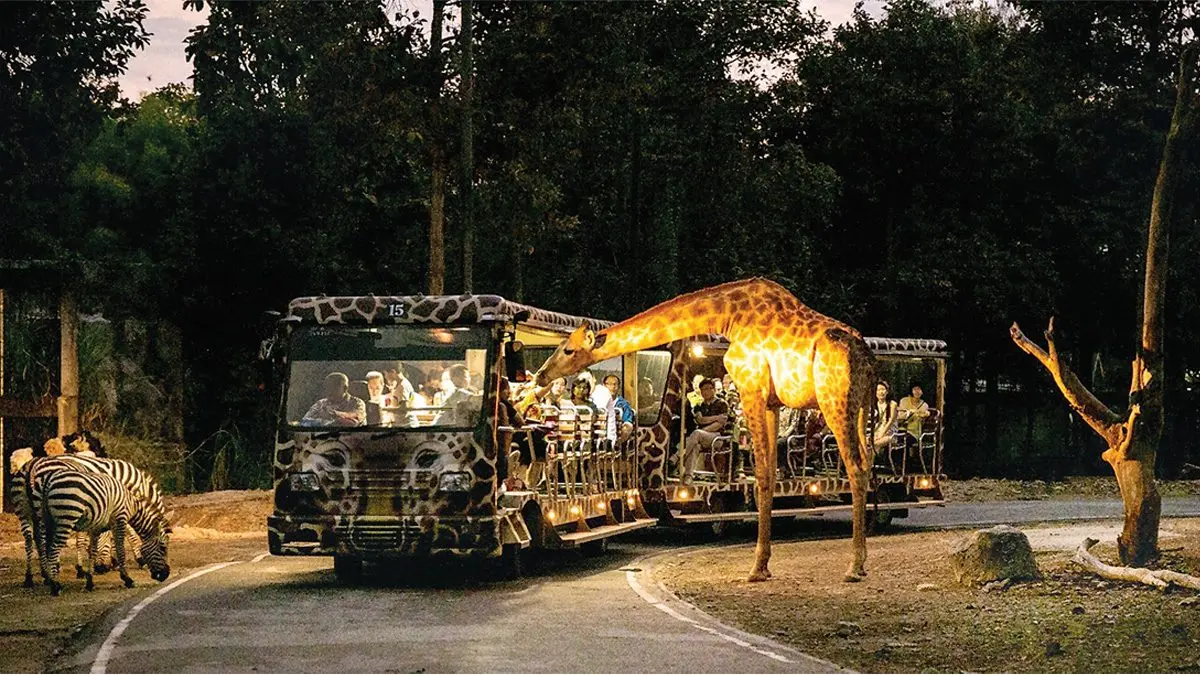 Chiang Mai Night Safari (Thai Residents) in Chiang Mai - Photo 7