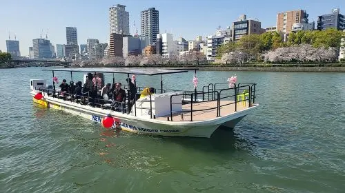 Osaka Dotonbori Wonder Cruise in Tokyo - Photo 6