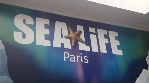 SEA LIFE Val d'Europe SEA LIFE Val d'Europe in Paris - Photo 5