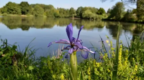 Arboretum de Versailles-Chevreloup in Paris - Photo 2
