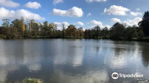 Arboretum de Versailles-Chevreloup in Paris