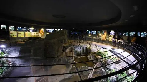 Aquarium de Paris Aquarium de Paris in Paris - Photo 5