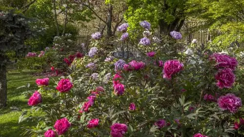 Jardin des Plantes Jardin des Plantes in Paris - Photo 2