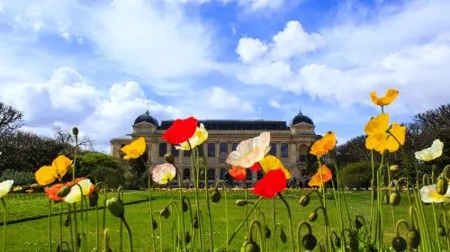 Jardin des Plantes in Paris