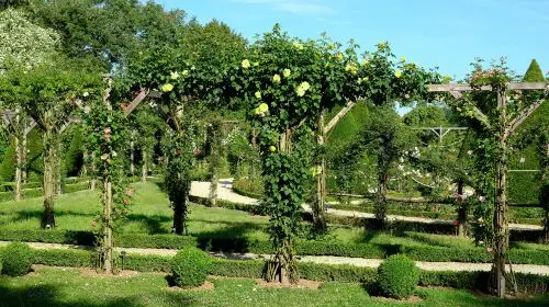 Jardin des Plantes Jardin des Plantes in Paris - Photo 9