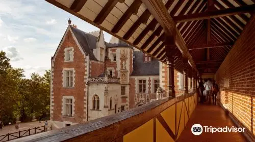 Le Chateau du Clos Luce - Parc Leonardo da Vinci in Paris