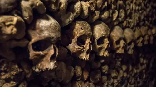 Catacombs of Paris Catacombs of Paris in Paris - Photo 7