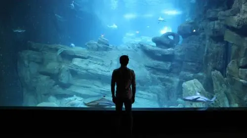 Aquarium de Paris Child (3-12) Aquarium de Paris Child (3-12) in Paris - Photo 3