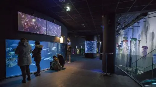 Aquarium de Paris Adult (13+) in Paris - Photo 3