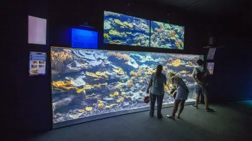 Aquarium de Paris Adult (13+) in Paris - Photo 6