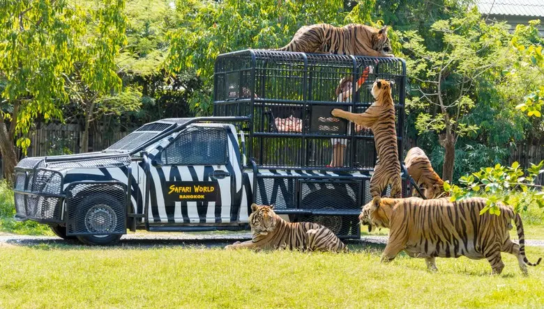 Safari World and Marine Park with lunch (Included Share transfer) in Bangkok