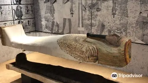 Barcelona Egyptian Museum Barcelona Egyptian Museum in Barcelona - Photo 2