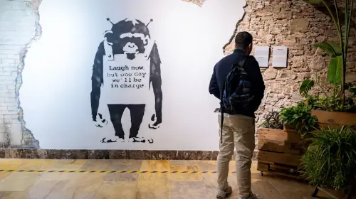 Banksy Museum Banksy Museum in Barcelona - Photo 5