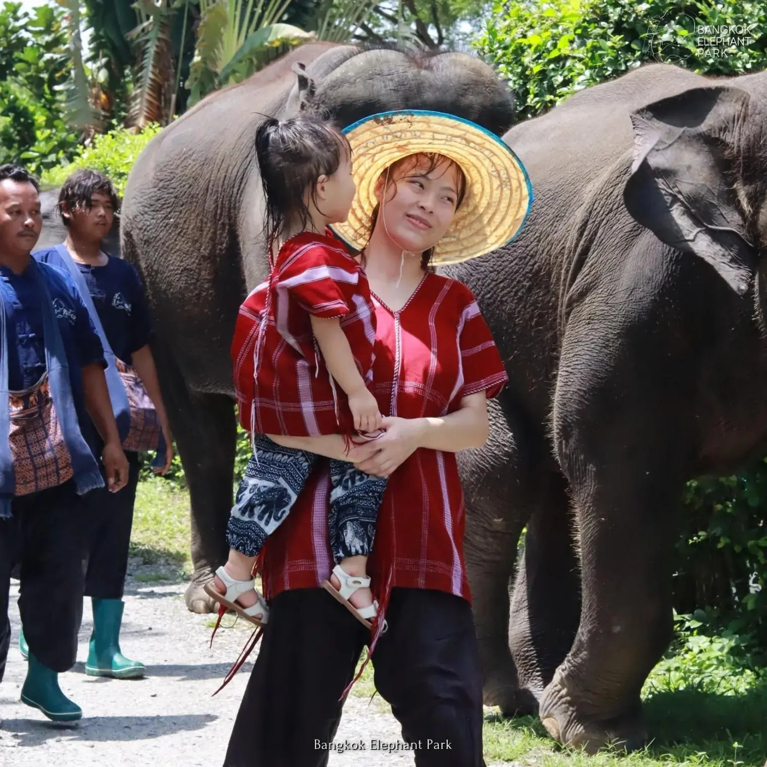 Bangkok Elephant Care Program at Elephant Park Bangkok Bangkok Elephant Care Program at Elephant Park Bangkok in Bangkok - Photo 3