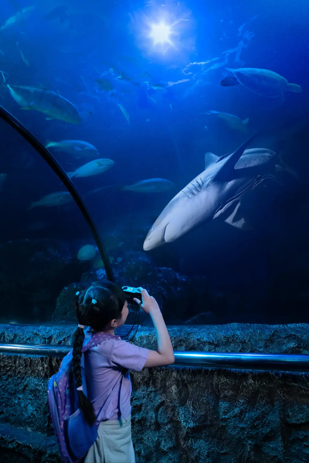 Sea World Ancol Sea World Ancol in Jakarta - Photo 9