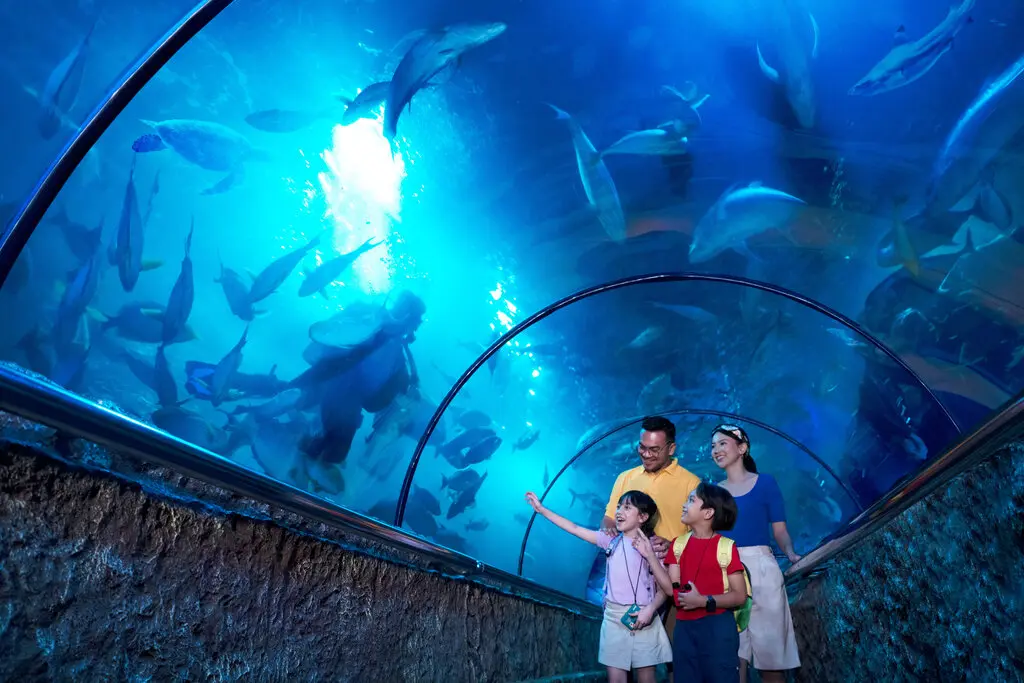 Sea World Ancol Sea World Ancol in Jakarta - Photo 6