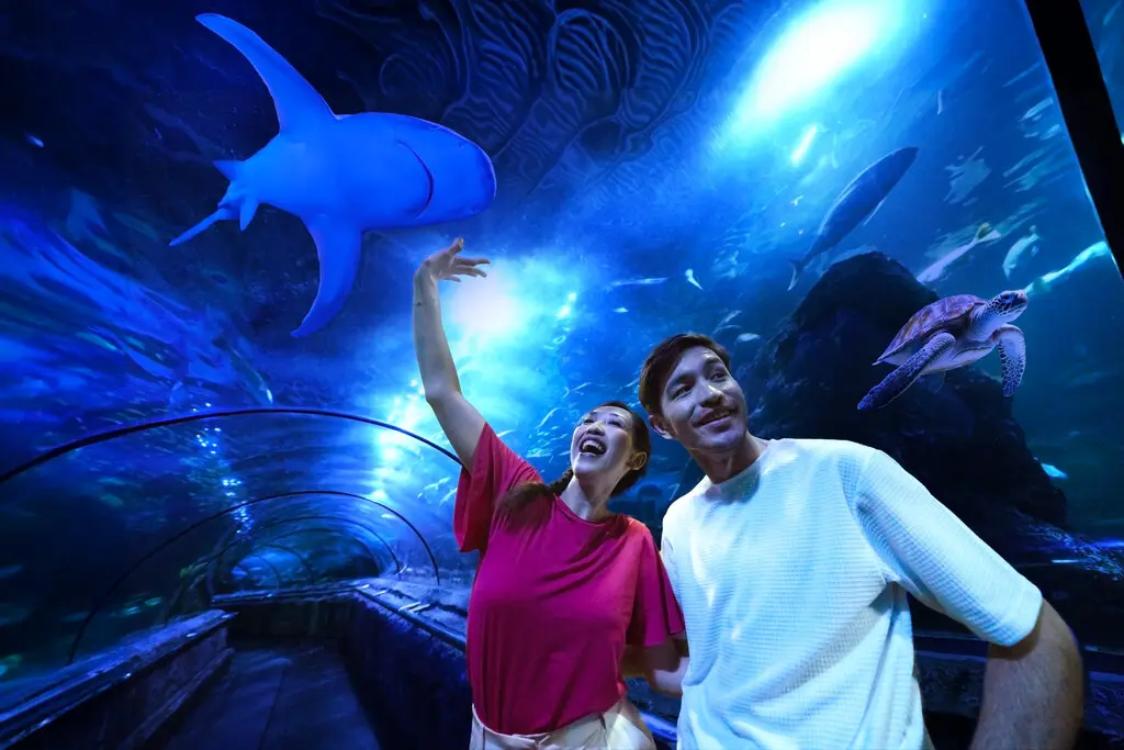 Sea World Ancol Sea World Ancol in Jakarta - Photo 12