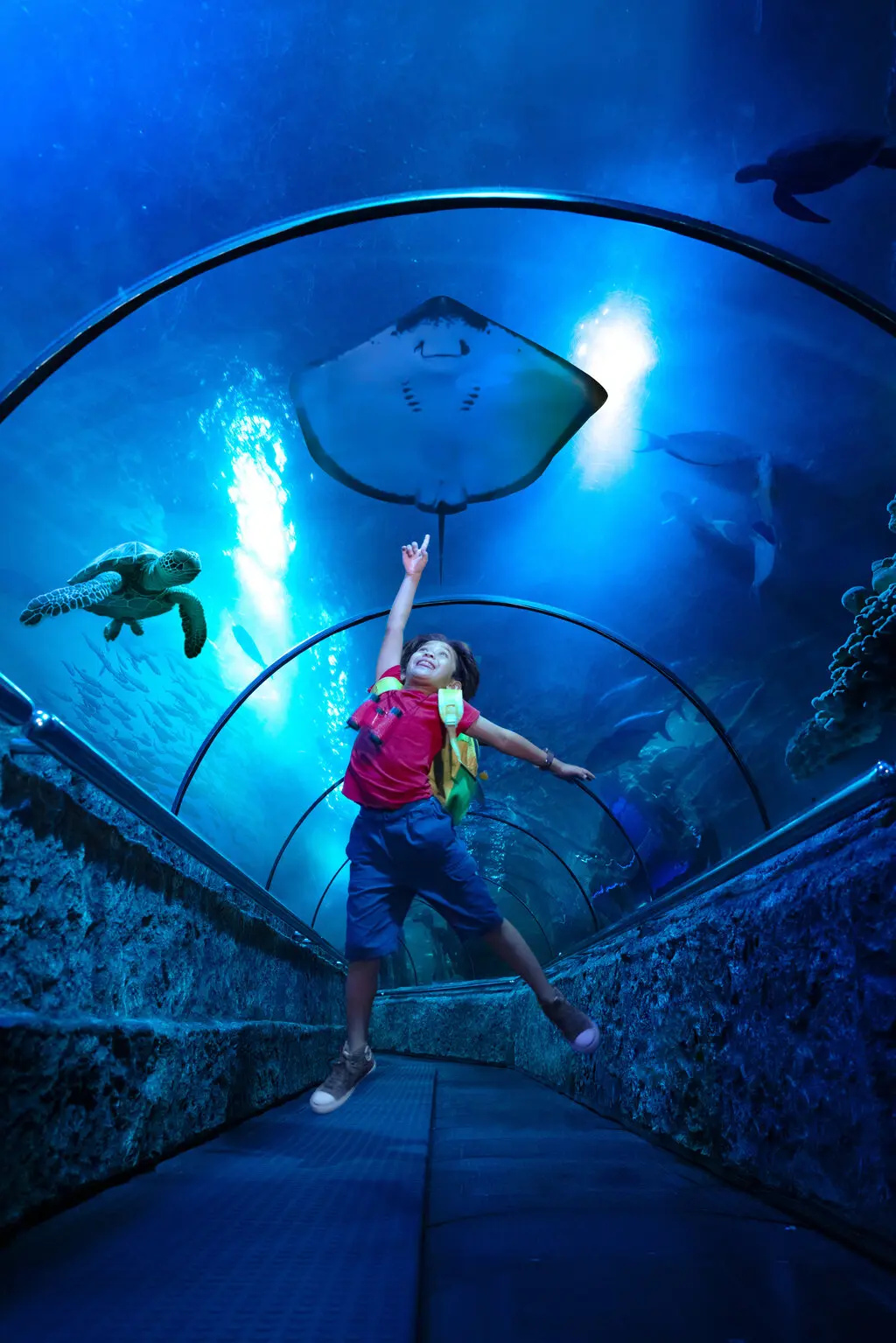 Sea World Ancol Sea World Ancol in Jakarta - Photo 4