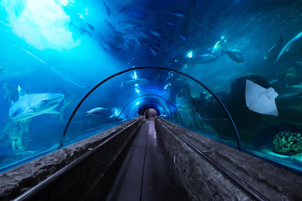 Sea World Ancol in Jakarta