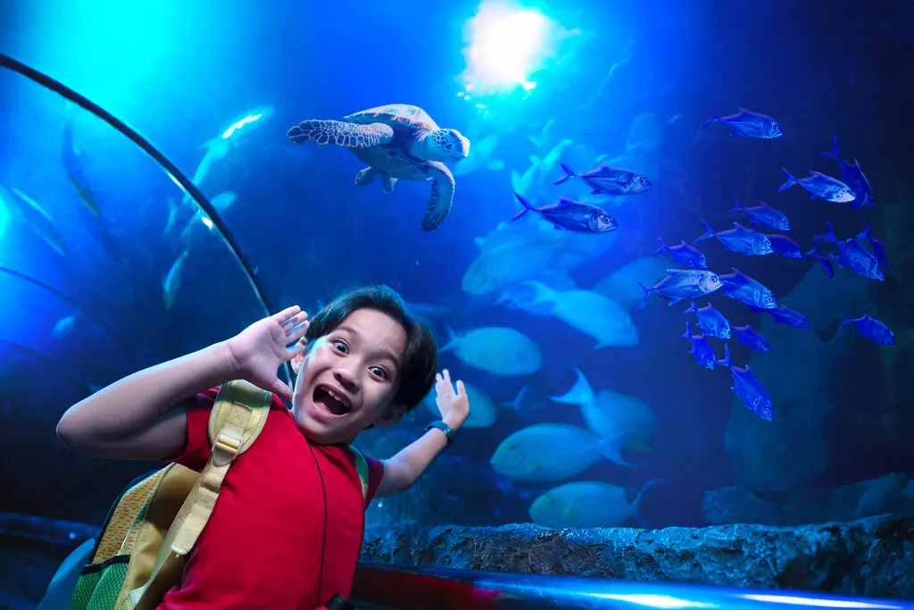 Sea World Ancol Sea World Ancol in Jakarta - Photo 11