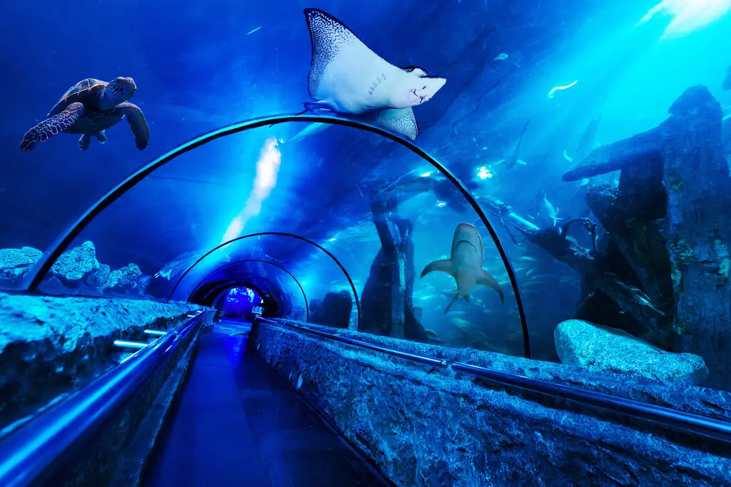 Sea World Ancol Sea World Ancol in Jakarta - Photo 2