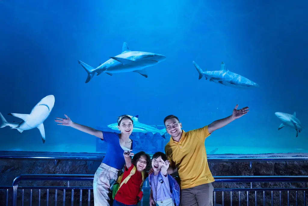 Sea World Ancol Sea World Ancol in Jakarta - Photo 15