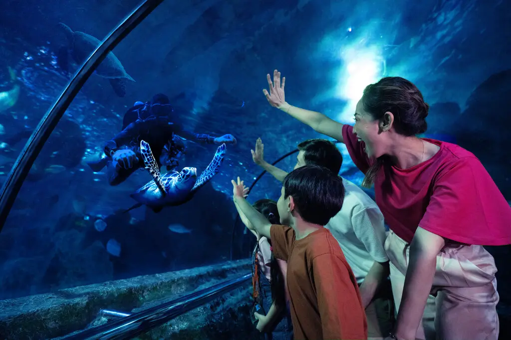 Sea World Ancol Sea World Ancol in Jakarta - Photo 7