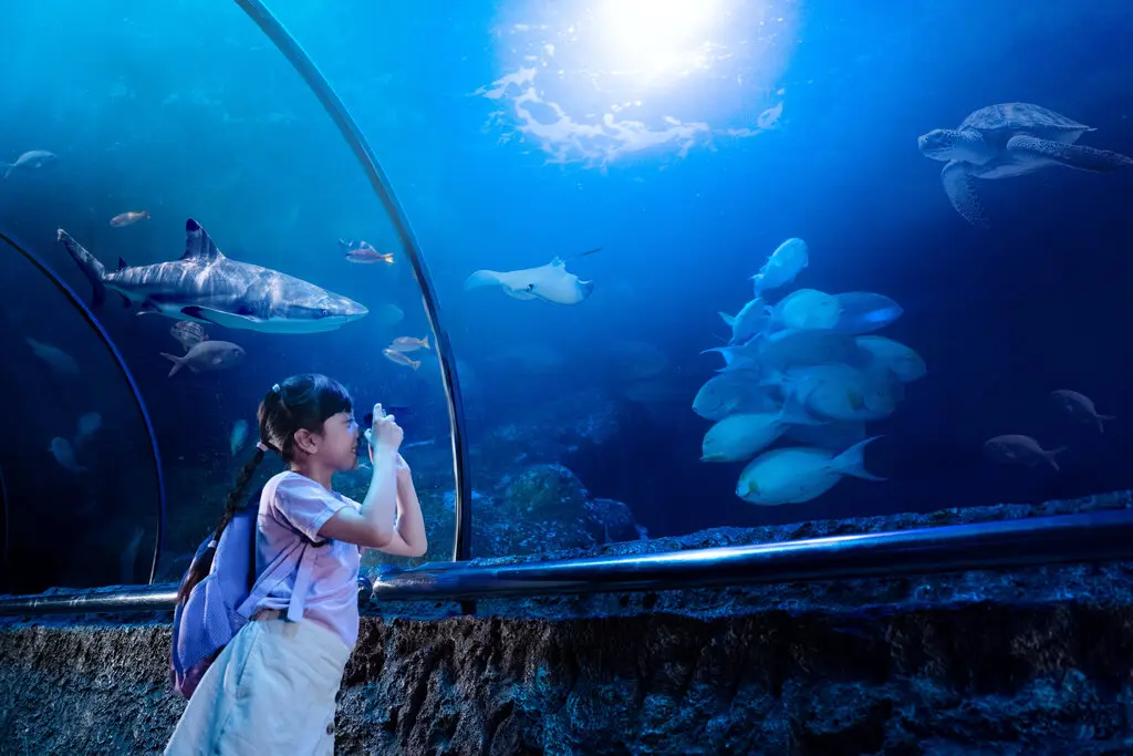 Sea World Ancol Sea World Ancol in Jakarta - Photo 10
