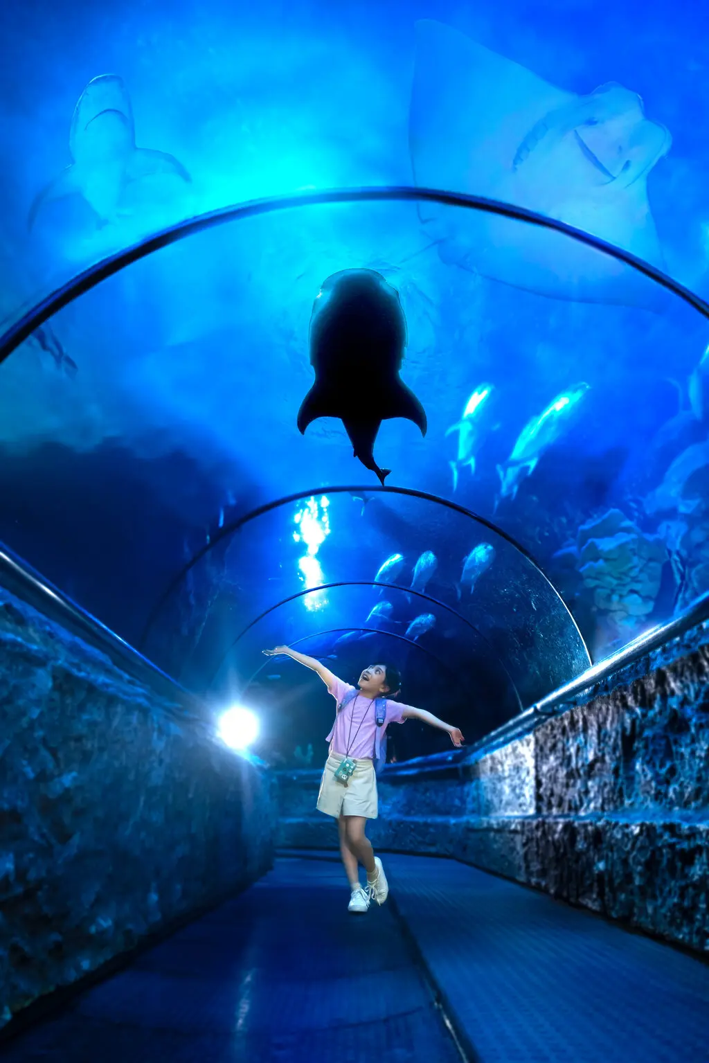 Sea World Ancol Sea World Ancol in Jakarta - Photo 8