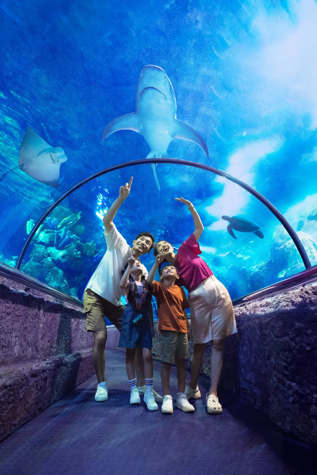 Sea World Ancol Sea World Ancol in Jakarta - Photo 13