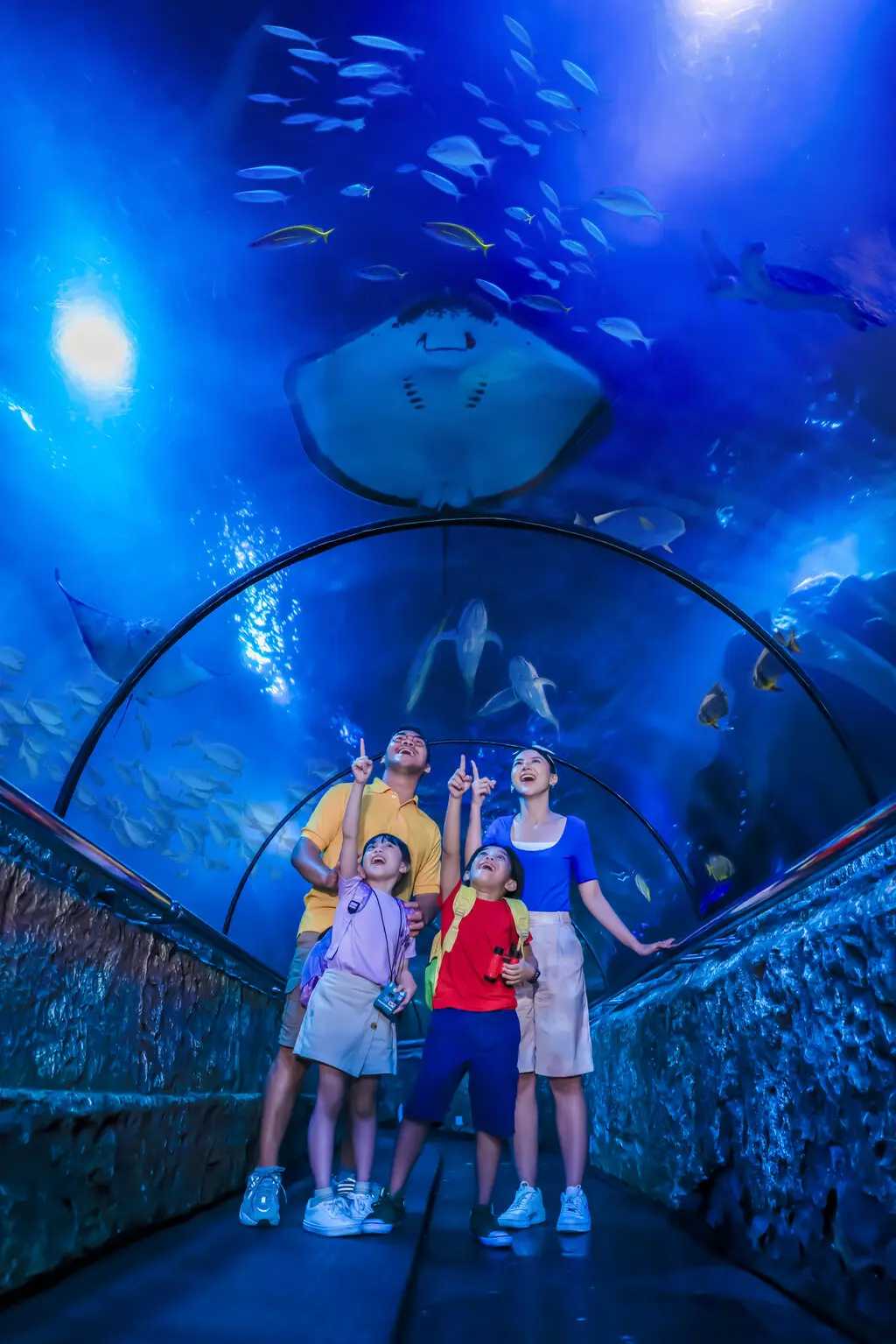Sea World Ancol Sea World Ancol in Jakarta - Photo 5