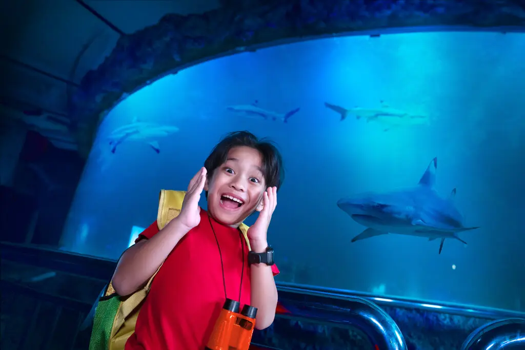 Sea World Ancol Sea World Ancol in Jakarta - Photo 17