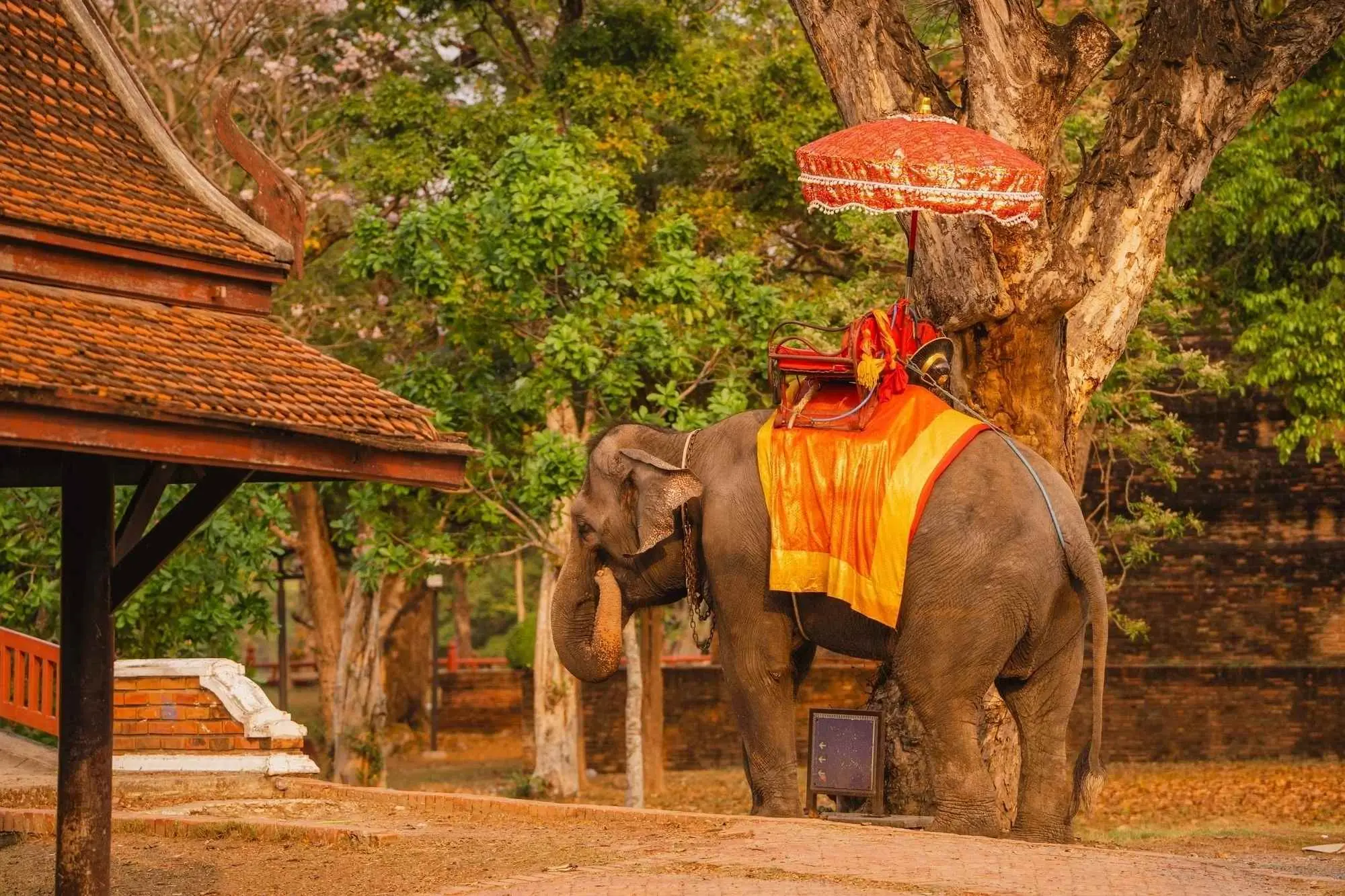 Join Tour Ayutthaya sunset (Meeting Point at McDonald's on the 1st floor of Robinson Department Store Near Asok Station) in Bangkok - Photo 7