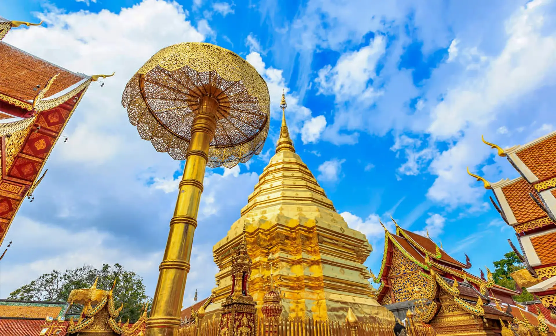 Day Tour Doi Suthep and Wat Umong Night Tour Plus, visit Wat Pa Lad in Chiang Mai - Photo 9