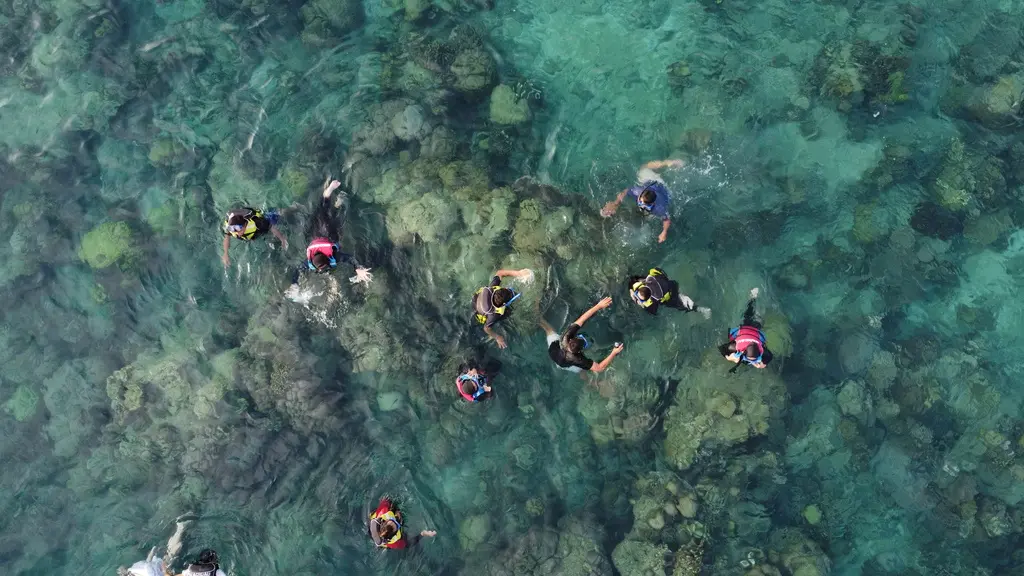 Open Trip Pulau Harapan 2 Days 1 Night – via Muara Angke Open Trip Pulau Harapan 2 Days 1 Night – via Muara Angke in Jakarta - Photo 7