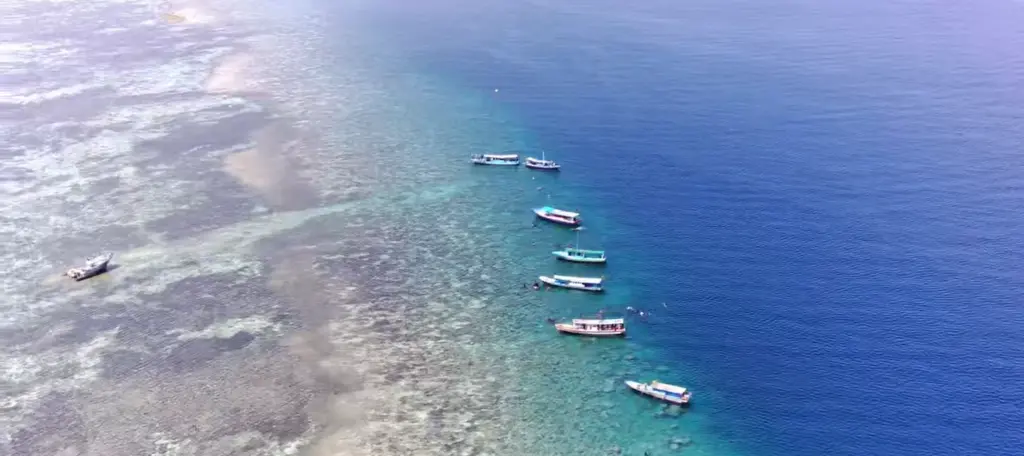 Open Trip Pulau Pari 2 Days 1 Night – via Muara Angke Open Trip Pulau Pari 2 Days 1 Night – via Muara Angke in Jakarta - Photo 10