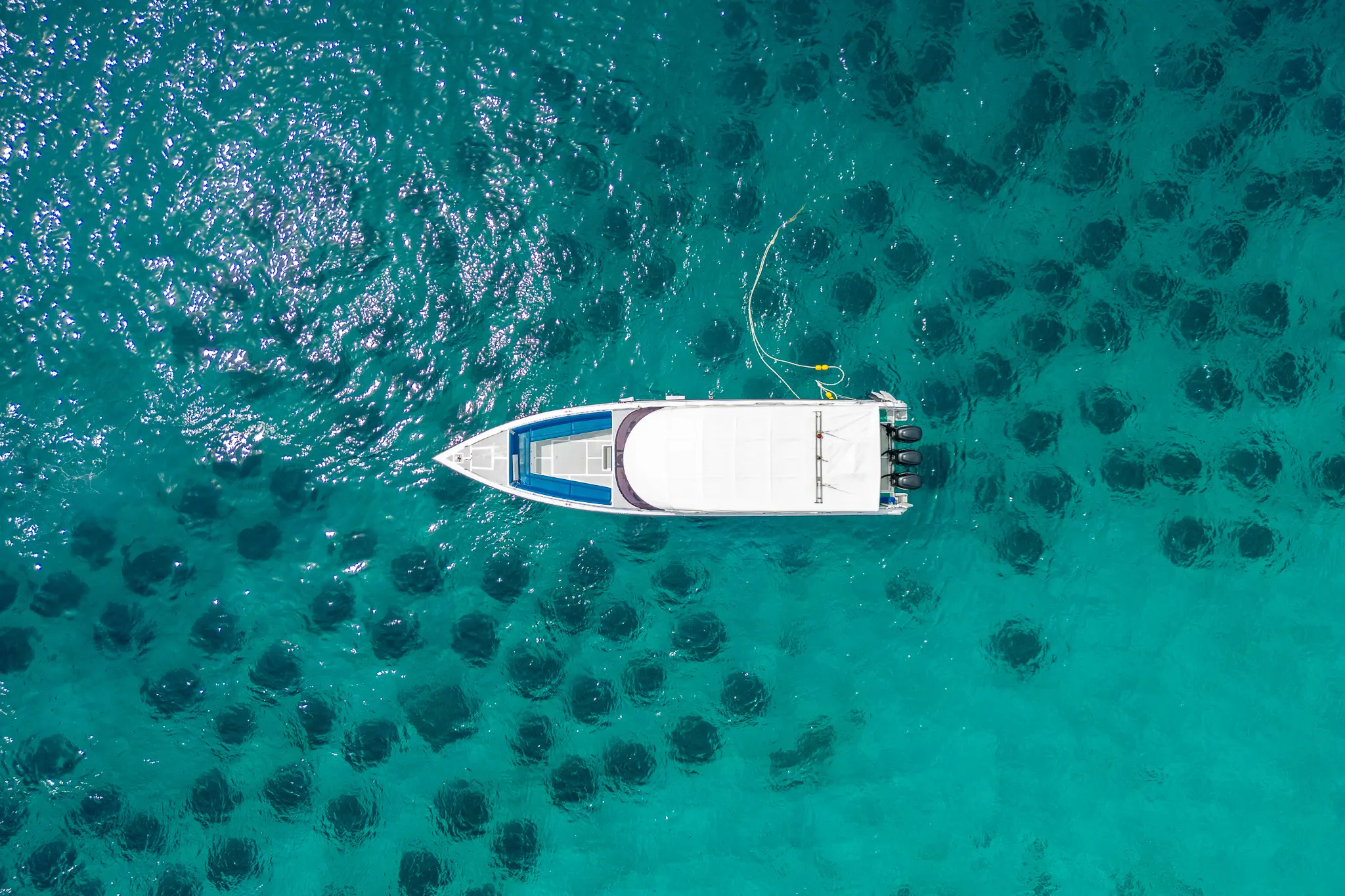 Day Trip Racha Island + Coral Island By Speedboat (皇帝岛+珊瑚岛一日游 - 白金、合金快艇) Day Trip Racha Island + Coral Island By Speedboat (皇帝岛+珊瑚岛一日游 - 白金、合金快艇) in Phuket - Photo 2