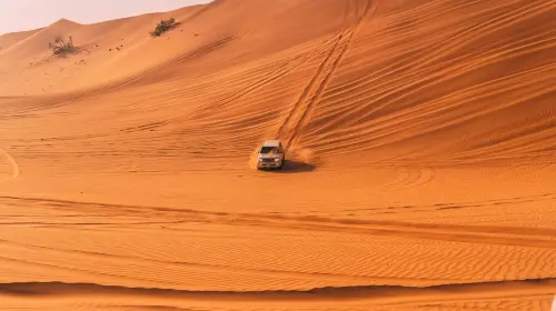 Private Morning Desert Safari up to 6 people Day Tours Private Morning Desert Safari up to 6 people Day Tours in Dubai - Photo 9