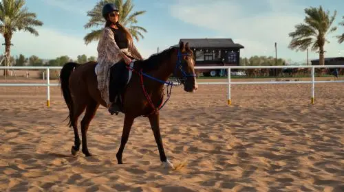 Hot Air Balloon Ride in Dubai with Sunrise Views & Hotel Transfers Day Tours in Dubai - Photo 4