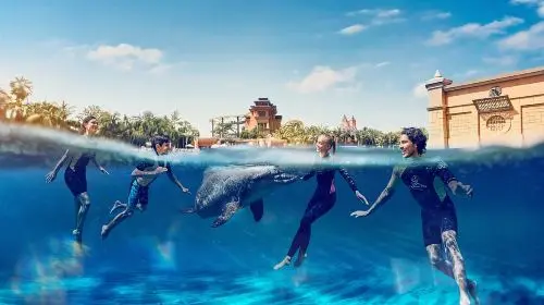 Aquaventure Waterpark in Dubai