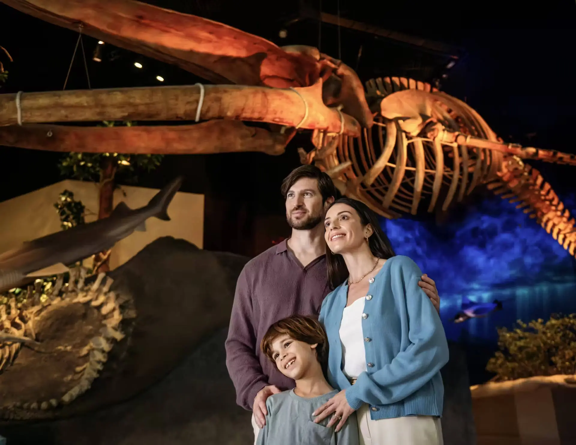 Natural History Museum Abu Dhabi in Abu Dhabi - Photo 8