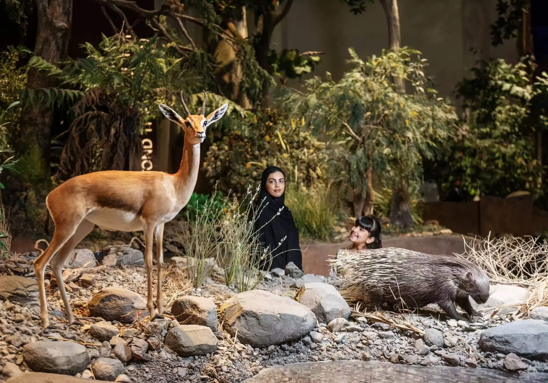 Natural History Museum Abu Dhabi in Abu Dhabi - Photo 6