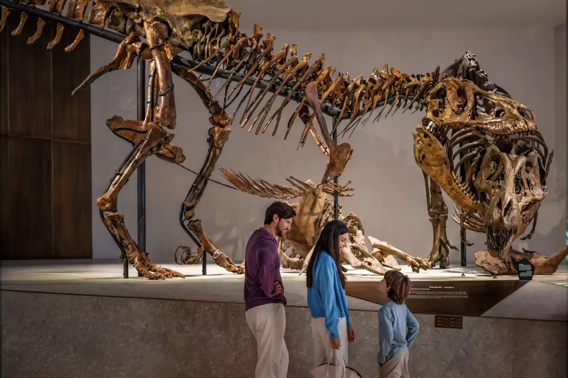 Natural History Museum Abu Dhabi in Abu Dhabi - Photo 5