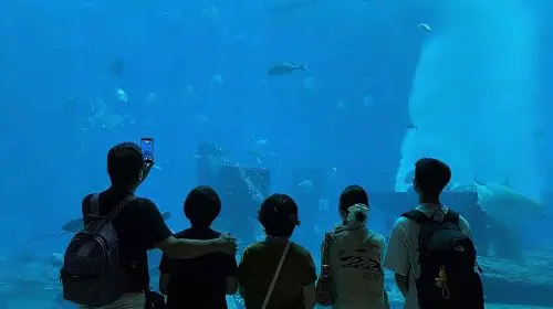 Lost World Aquarium in Dubai - Photo 4